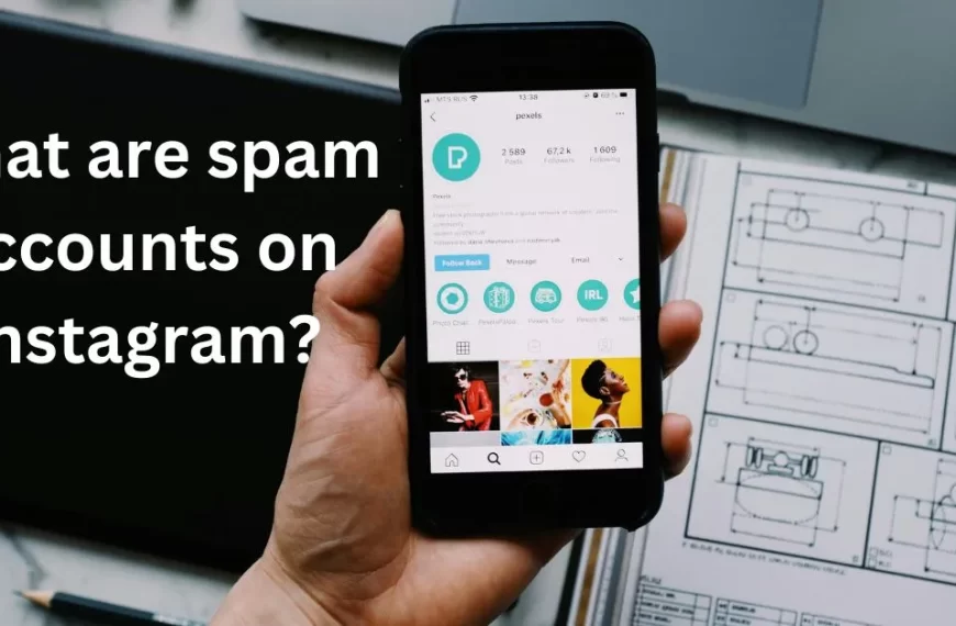 What are spam accounts on Instagram?